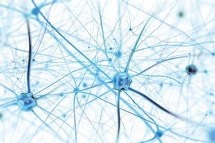 Case Comment May 2018 - Giant v generic