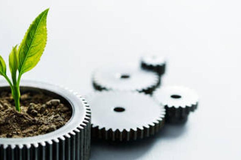 image of a cog filled with earth containing a small green plant