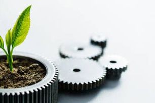 environment leaf and cogs.jpg