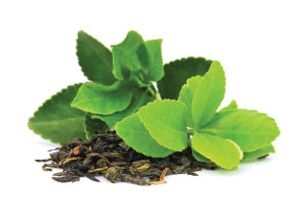 Case Comment Dec 2017 - Leaf to appeal