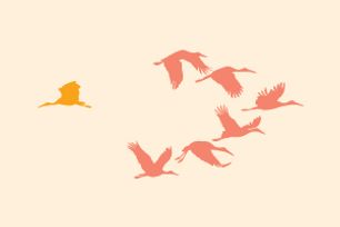 Case Comment Feb 2017 - Hard luck for Stork