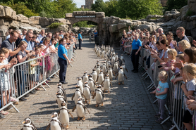 Generated Image September 11, 2025 - 11_47AM.png